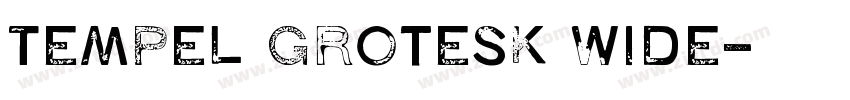 Tempel Grotesk Wide字体转换